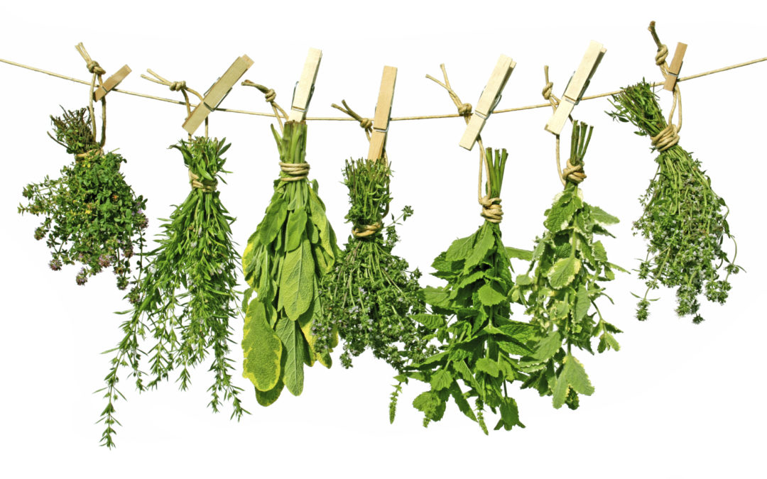 Boost Your Metabolism Using Herbs